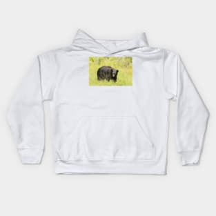 Black Bear in a pasture Kids Hoodie